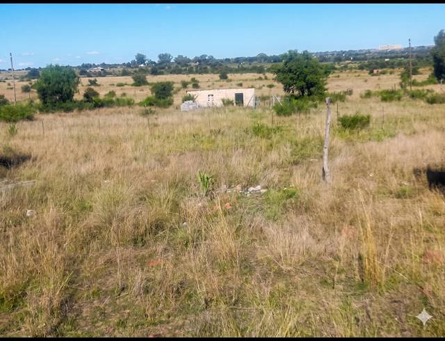 24,775M² VACANT LAND FOR SALE IN KOPPIES RURAL